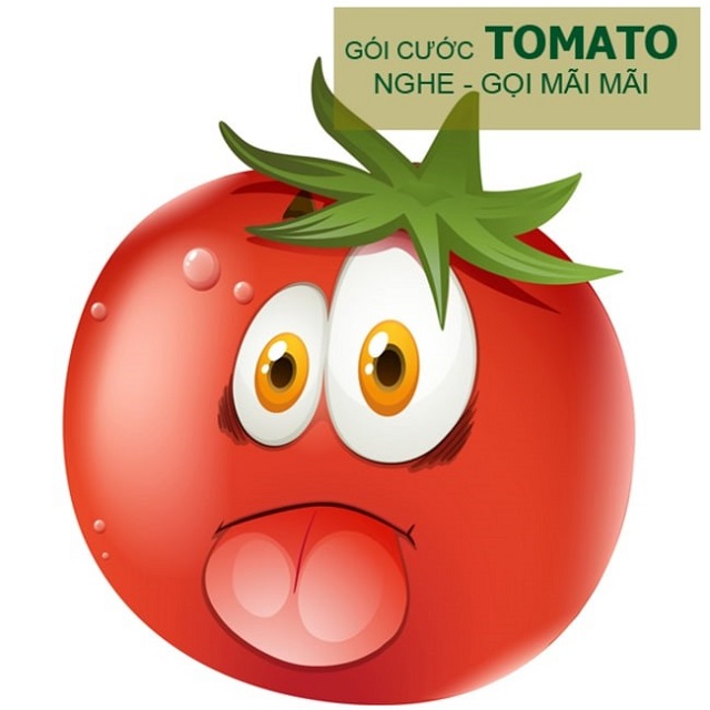 Ảnh 3: Một số siêu ưu đãi của gói cước Tomato Viettel bạn không nên bỏ qua (Nguồn: Internet)